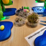 Microscope Workshop - Image 3