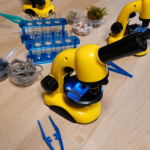 Discover the Invisible: Microscope Workshop