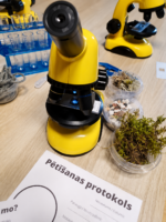 Discover the Invisible: Microscope Workshop - Image 2