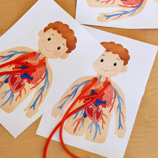 Hearts Workshop