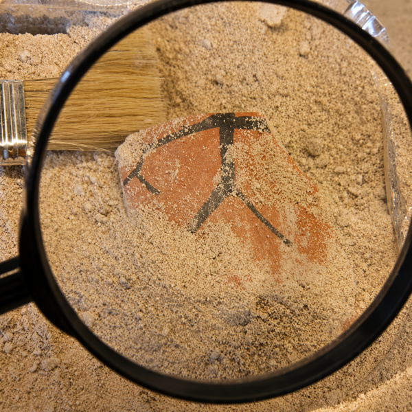 Archaeological Excavation Kit